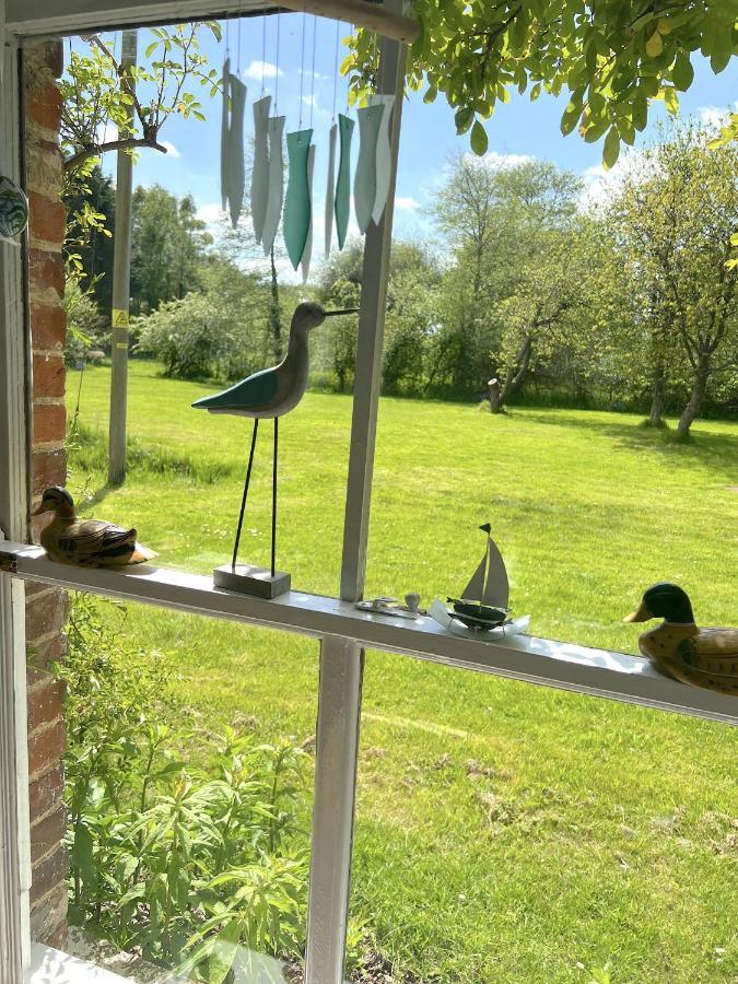 Adorable Two Bed Norfolk Broads Holiday Home - River Views With Moorings & Fishing ستالهام المظهر الخارجي الصورة