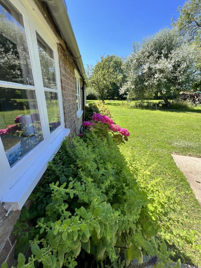 Adorable Two Bed Norfolk Broads Holiday Home - River Views With Moorings & Fishing ستالهام المظهر الخارجي الصورة